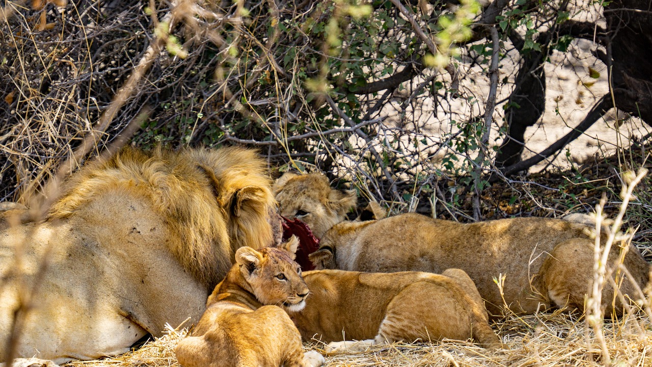 Serengeti National Park
