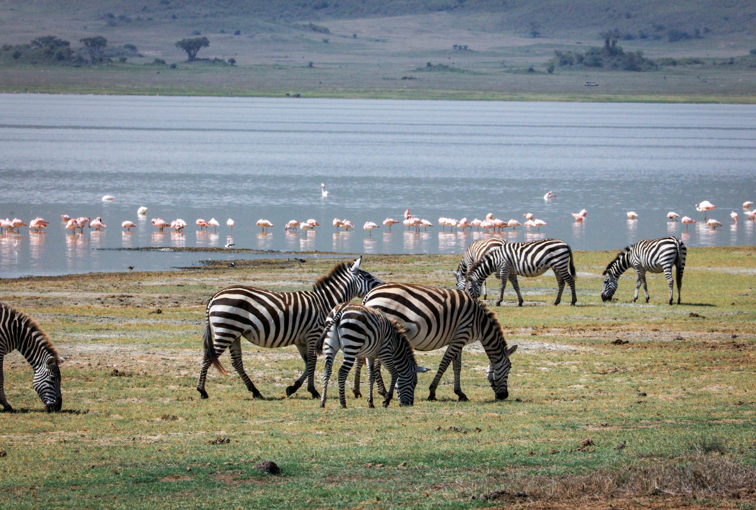 Manyara National Park